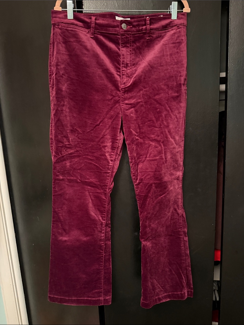 LOFT Velvet ankle pants in Deep Wine